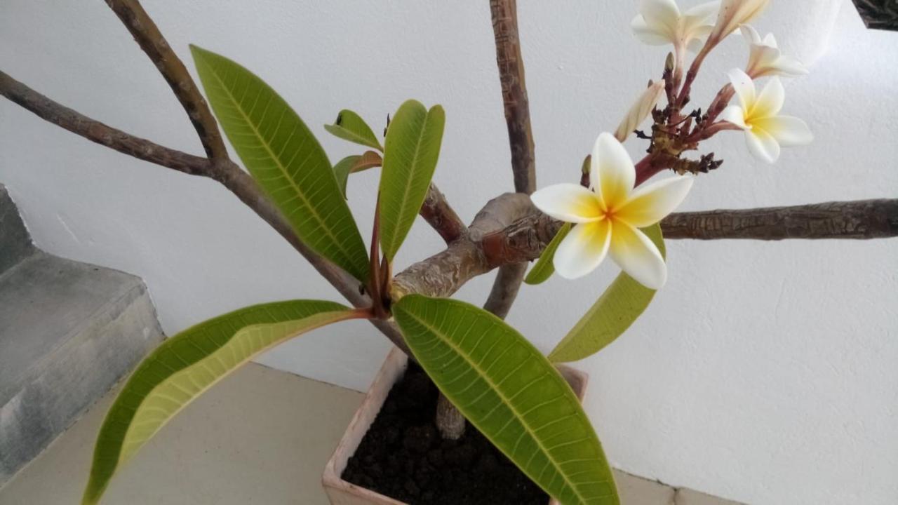 Casa Sol Y Luz - Casa Rural Carboneras Ngoại thất bức ảnh